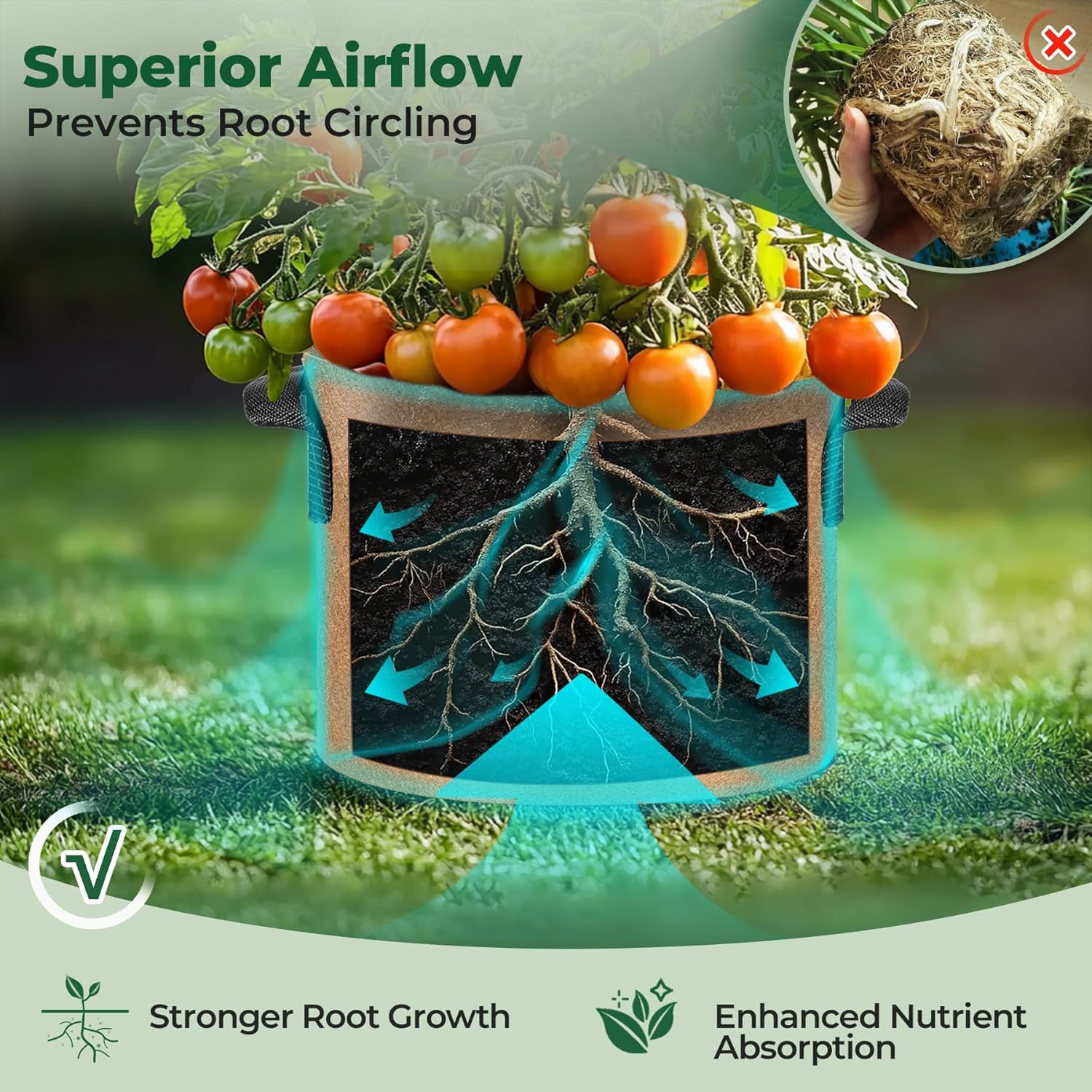 Thumbnail 5 de T4U 5-Pack 7 Gallon Fabric Grow Bags with Handles (Heavy Duty Smart Pots)