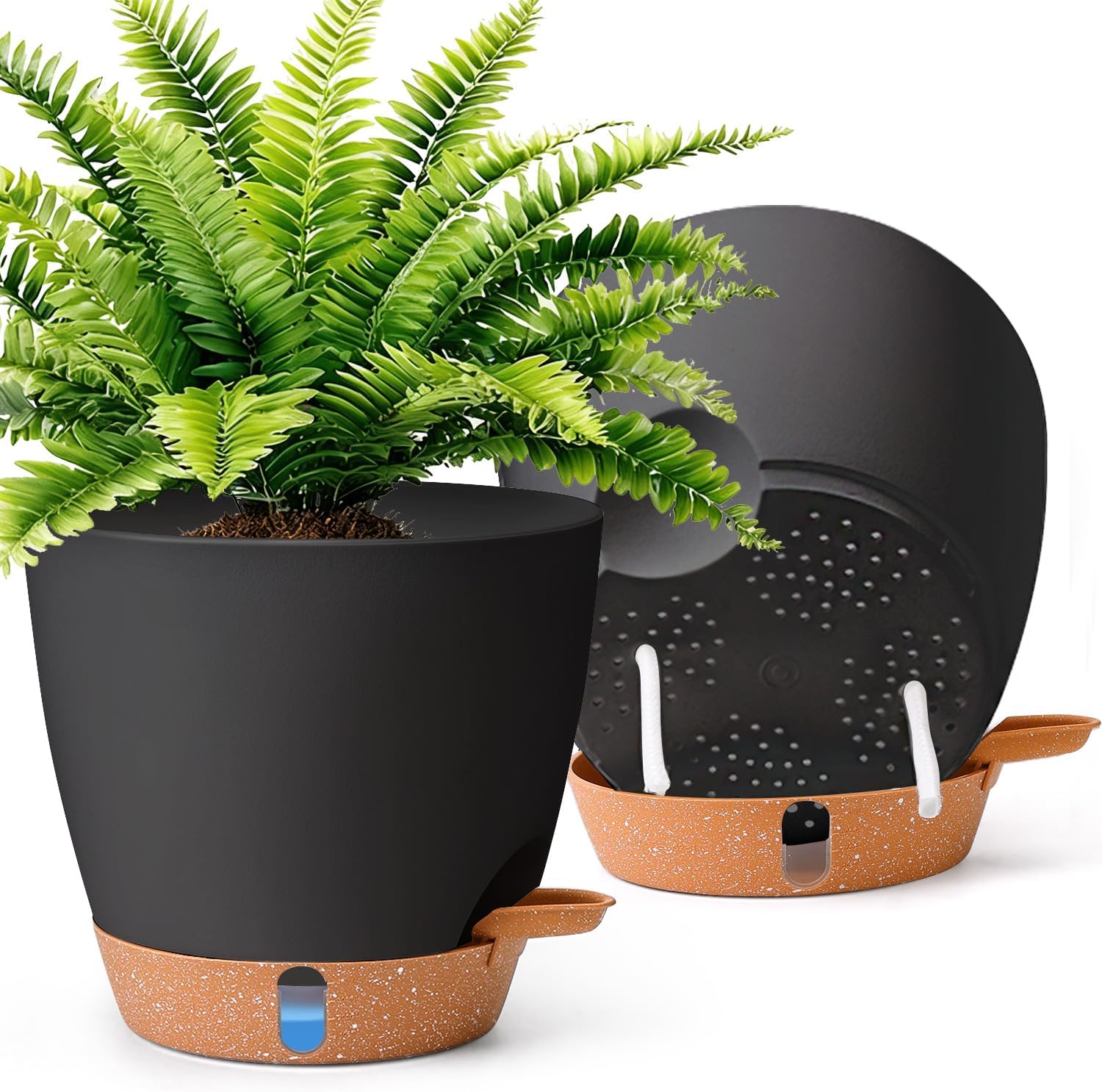 Detalle de T4U 20cm Self-Watering Plant Pots (2 Pack) with Water Level Indicator and Deep Reservoir