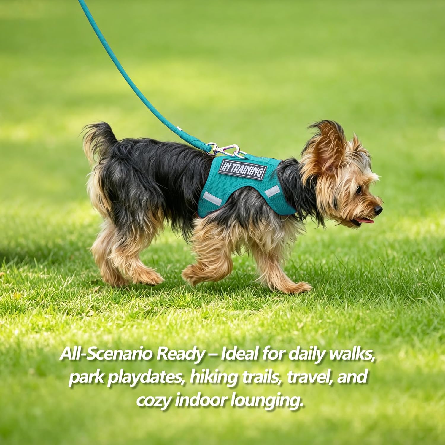 Thumbnail 6 de Sunraymascota Cat Harness XXS