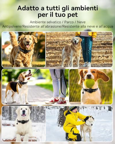 Thumbnail 6 de Collare GPS CMINGKEJI per Cani e Gatti senza abbonamento — localizzazione in tempo reale e autonomia a lungo raggio