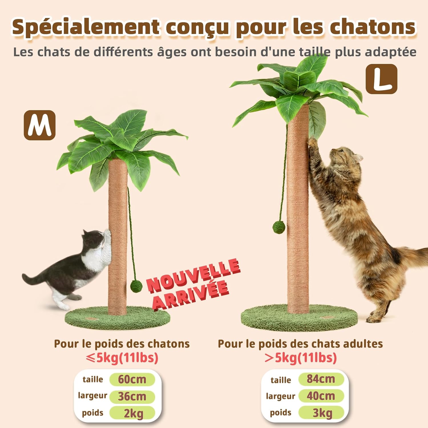 Thumbnail 2 de Meowoou Griffoir pour Chat 60 cm avec corde en sisal et balles suspendues (intérieur)