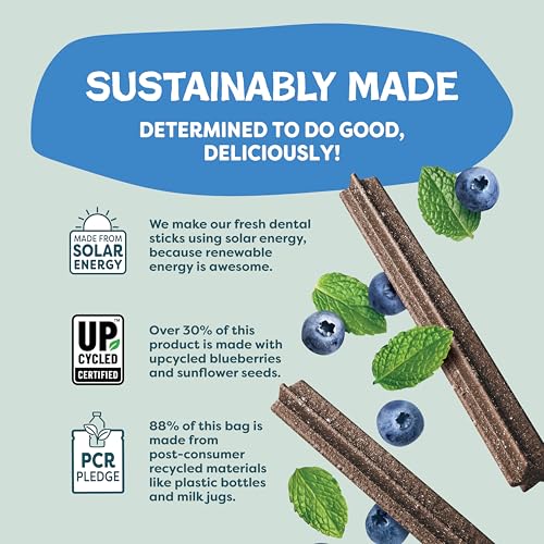 Detalle 2 de Shameless Pets Blueberry & Mint Dental Chews for Dogs (8 Chews) – Grain-Free, Upcycled Health-Focused Dental Sticks