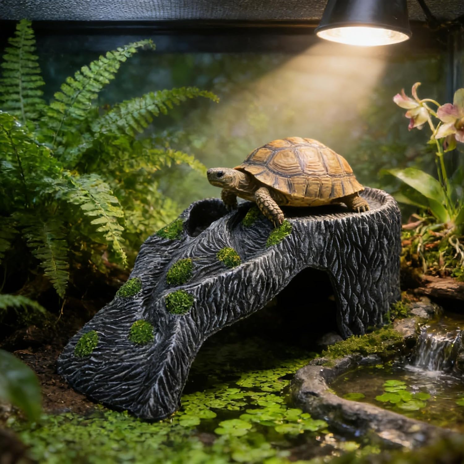Thumbnail 4 de MC MEICHUANG Turtle Basking Platform – Resin Hideout for Turtles, Reptiles and Aquariums