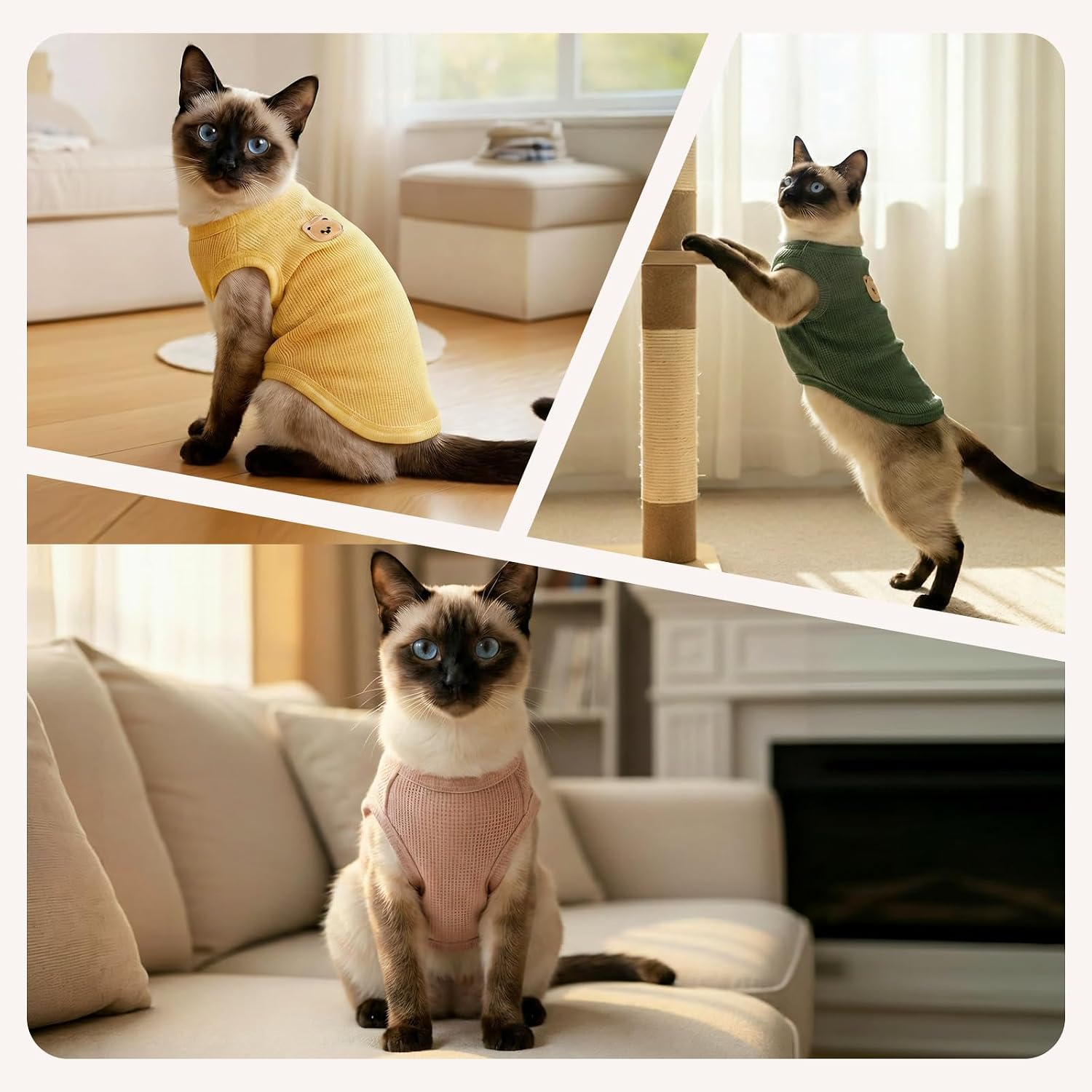 Thumbnail 6 de Coohams Katzenkleidung 3er Pack – Katzen Tshirt aus Waffelstoff (2XL), inklusive Bären-Apperl