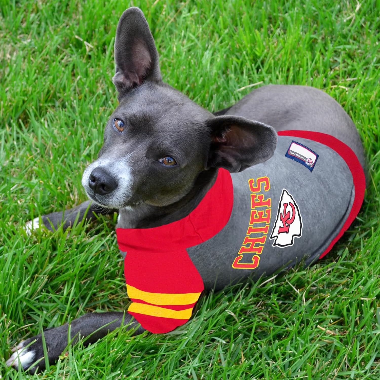 Thumbnail 2 de Pets First KCC-4044-XS NFL Kansas City Chiefs Hoodie for Dogs & Cats (X-Small)