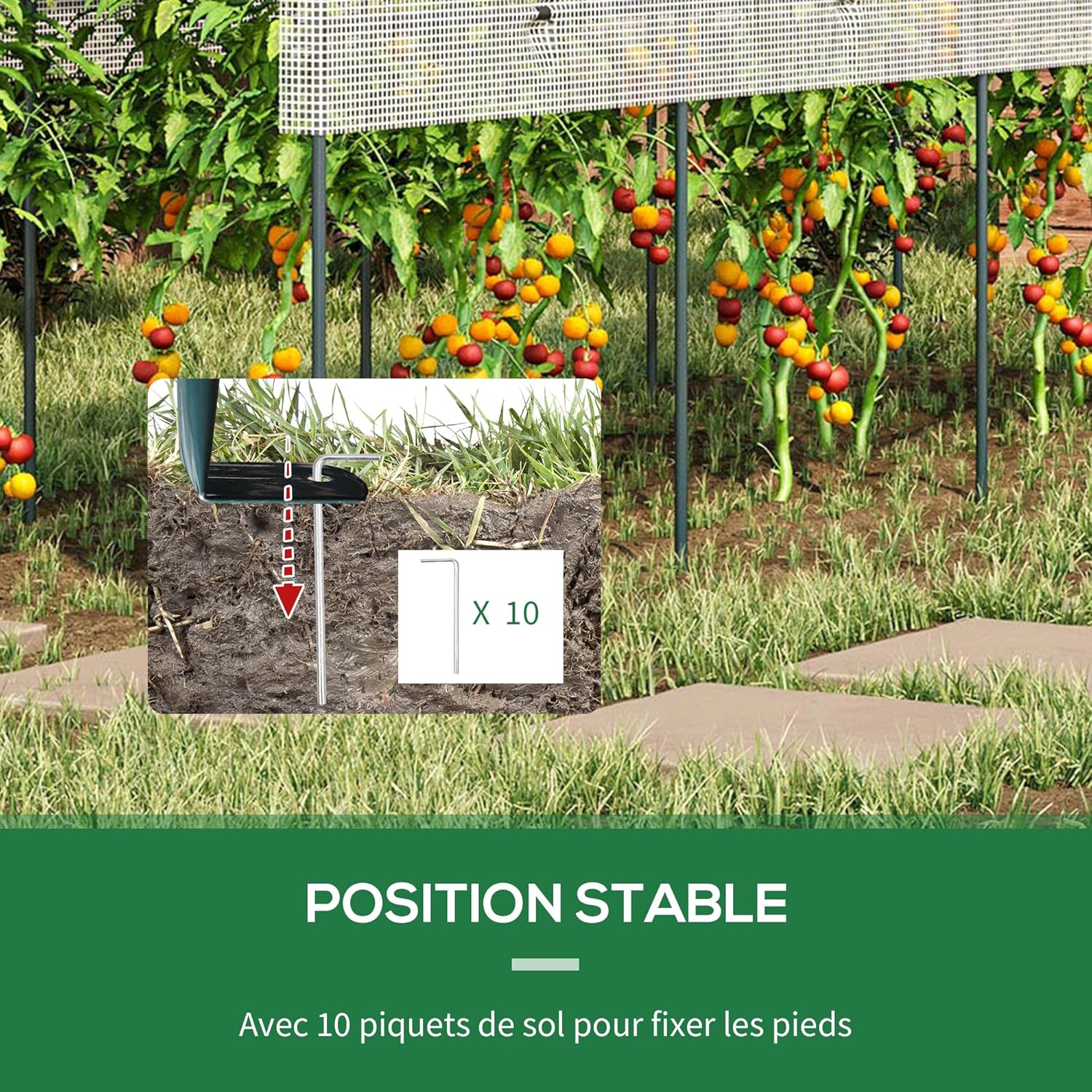 Thumbnail 4 de Outsunny Serre de Jardin 400 x 120 x 170 cm