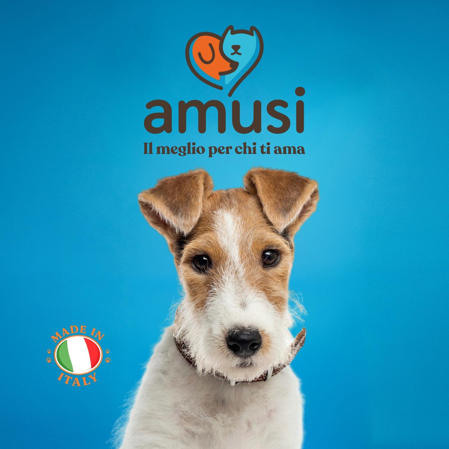 Thumbnail 6 de amusi Dentifricio per cani in polvere 60 g con Ascophyllum nodosum e menta