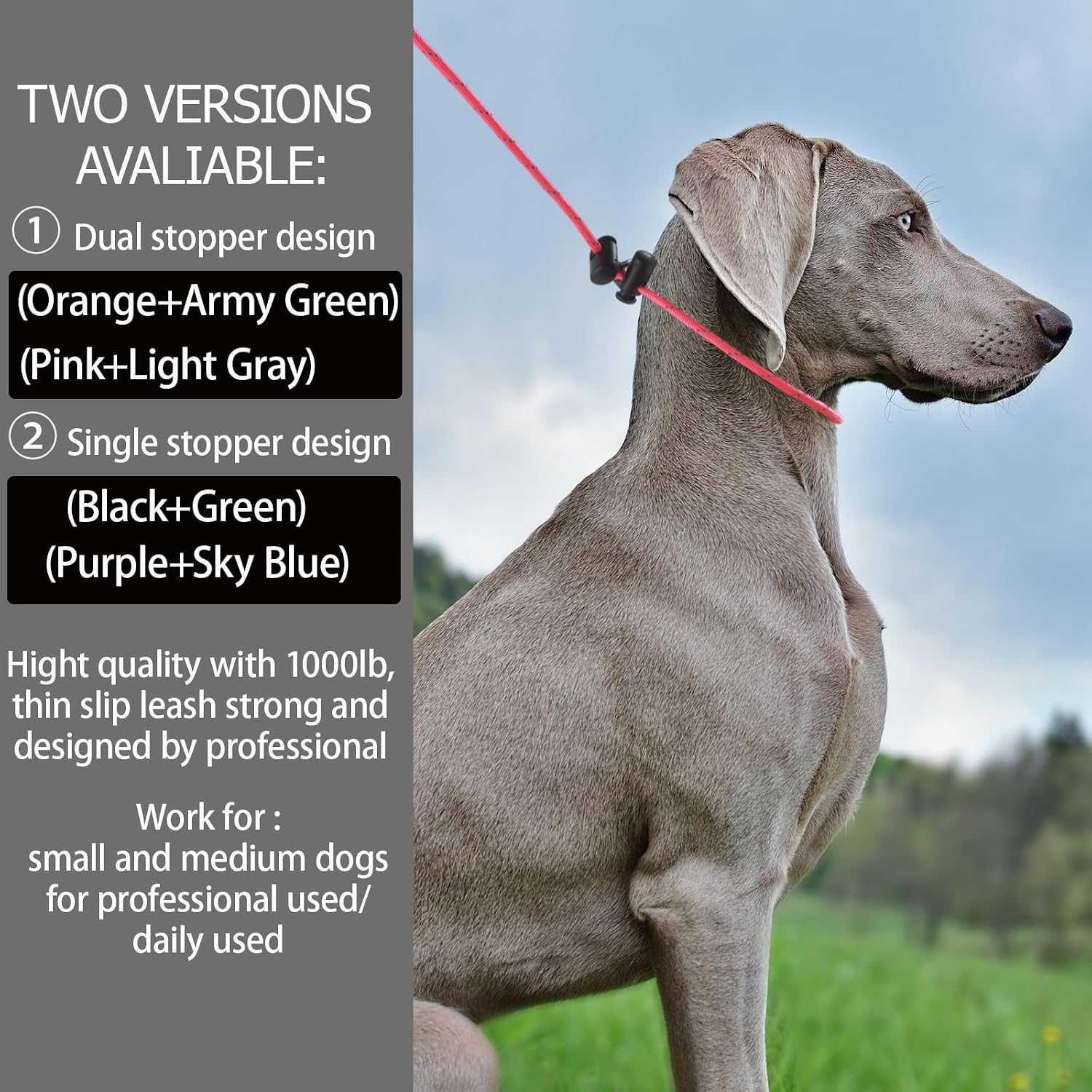 Thumbnail 3 de Reflective Slip Lead, 4 FT