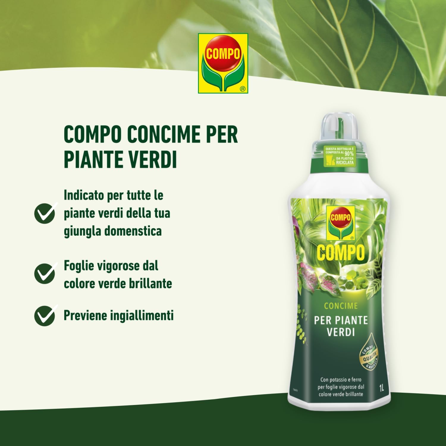 Detalle 2 de COMPO Concime Liquido Per Piante Verdi 1L – nutrimento equilibrato per piante d'appartamento