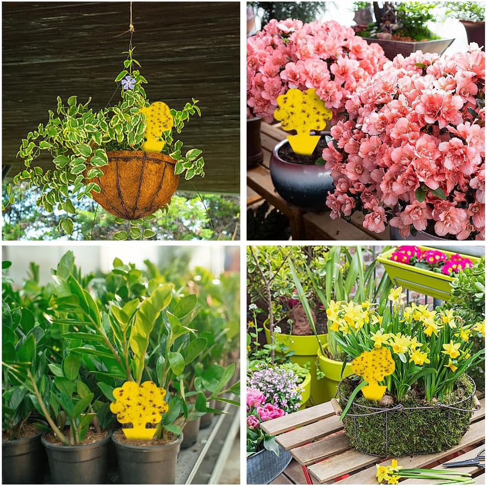 Thumbnail 6 de Cleanuper 58 Sticky Plant Traps, Yellow Double-Sided, Flower and Cloud Shapes