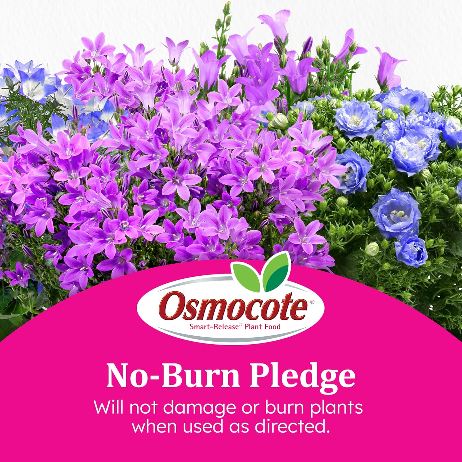 Thumbnail 6 de Osmocote Granular Plant Fertilizer, 2 lb