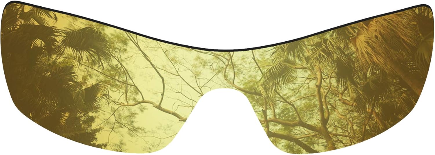 Thumbnail 1 de HiCycle2 Sunglasses Lenses Replacement for Oakley Batwolf OO9101