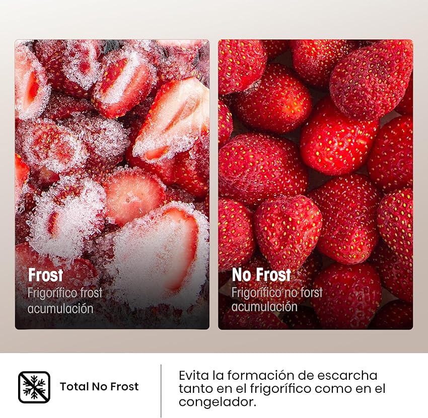 Thumbnail 6 de Hisense RB390N4BWC frigorífico combi 304 L blanco