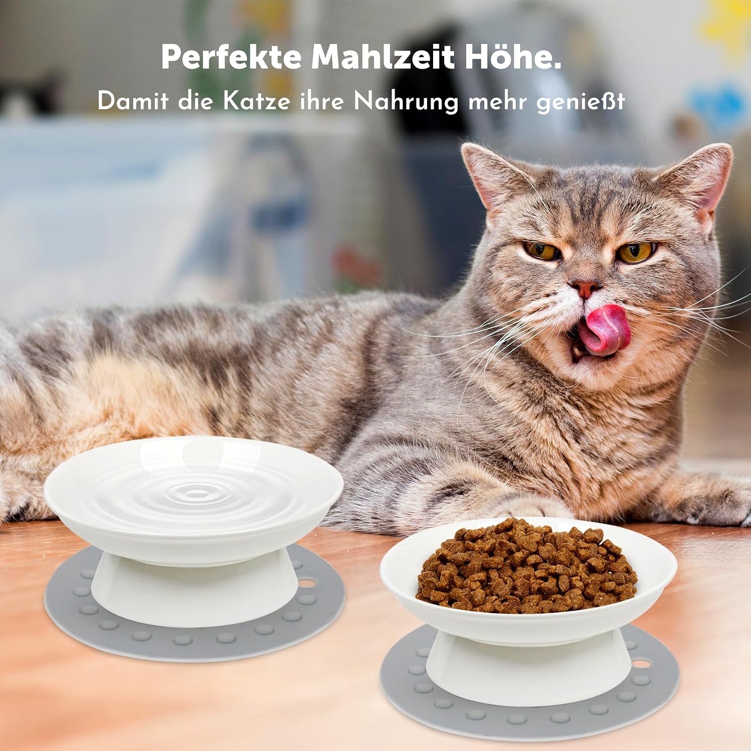 Thumbnail 4 de YIQOGAME Katzennapf-Set aus Keramik (2 Stück) mit erhöhter Bauform