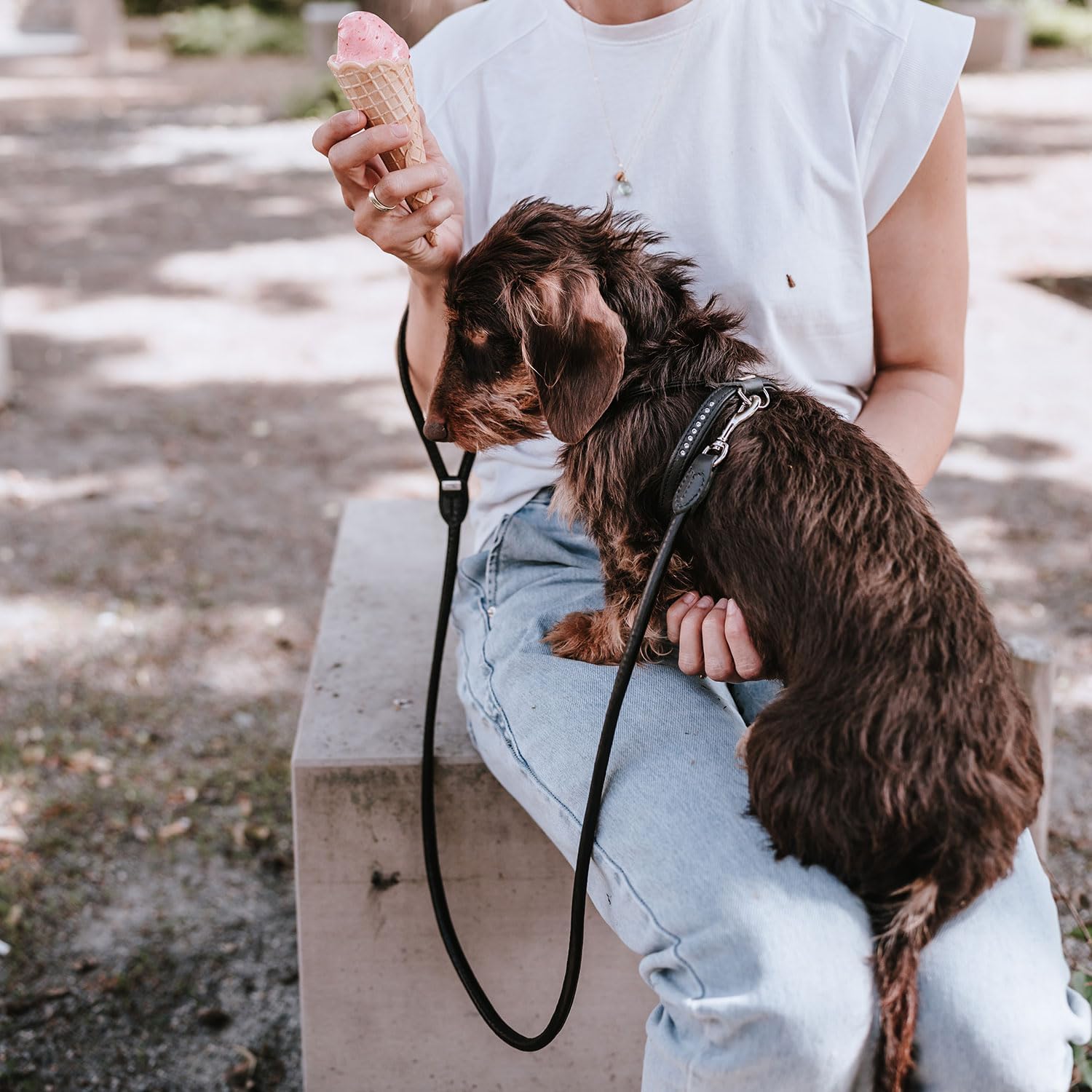 Thumbnail 4 de Hunter Round & Soft Canadian UP Hundegeschirr aus Leder (schwarz) – Größe S/2