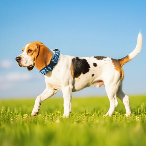 Thumbnail 5 de TSPRO Premium Khaki Collares para Perros M