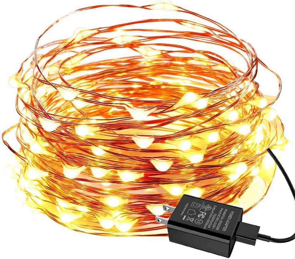 Detalle de EShing ES0020011 Fairy Lights, 100 Warm White LEDs on 33 ft Copper Wire