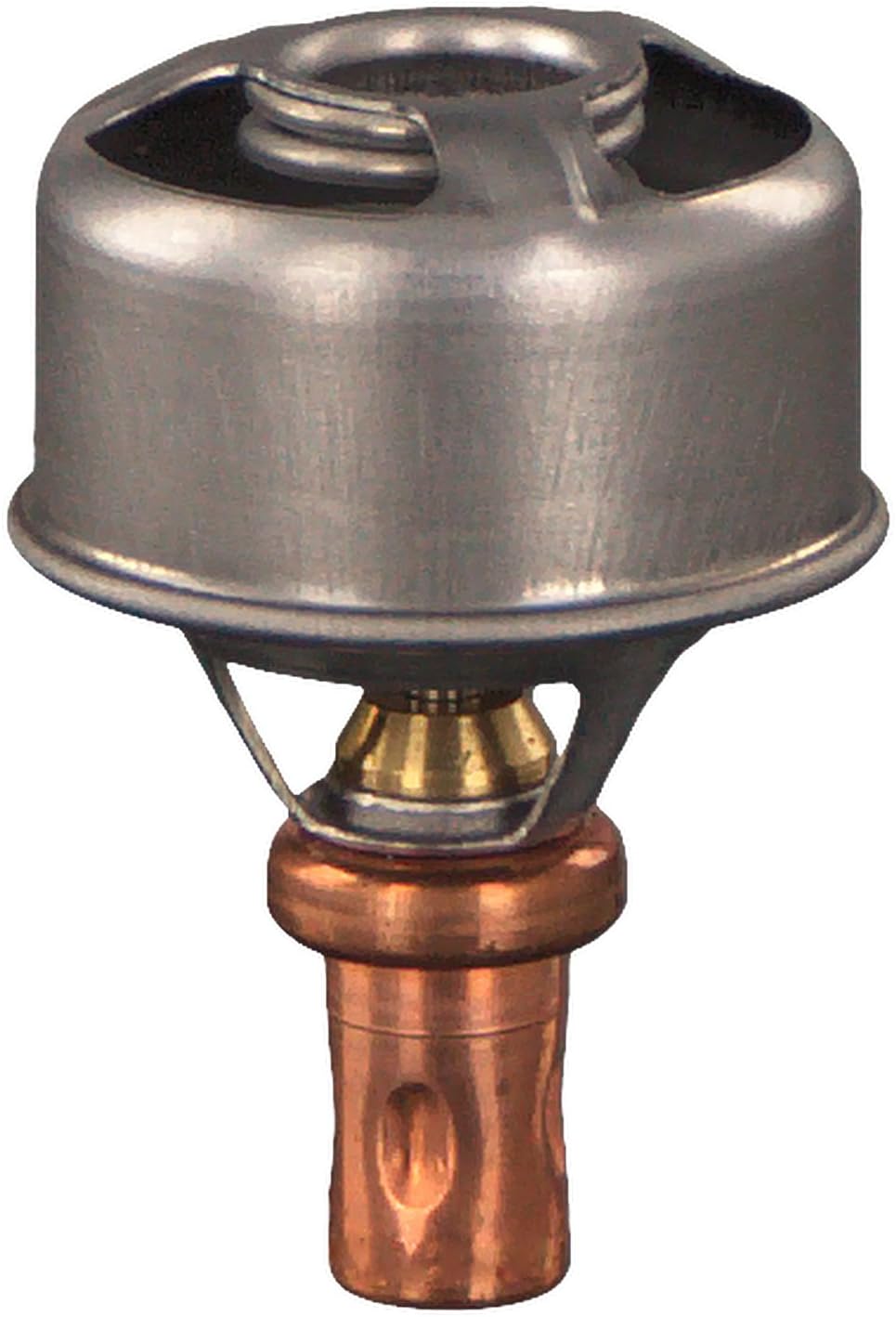 Detalle 2 de febi bilstein 09328 Thermostat – 1 Stück