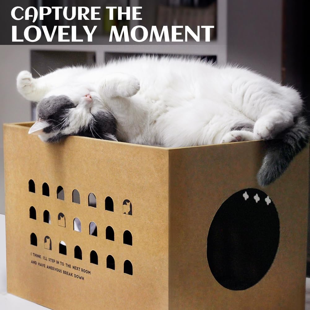 Detalle de Cat Cardboard House with 2 Scratching Pads (Cactus) — Large Corrugated Cardboard Bed