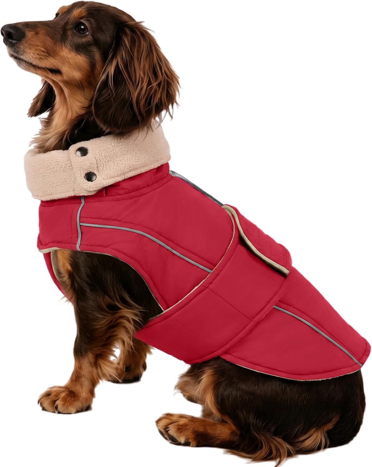 Detalle de ASENKU Dog Coat, size M