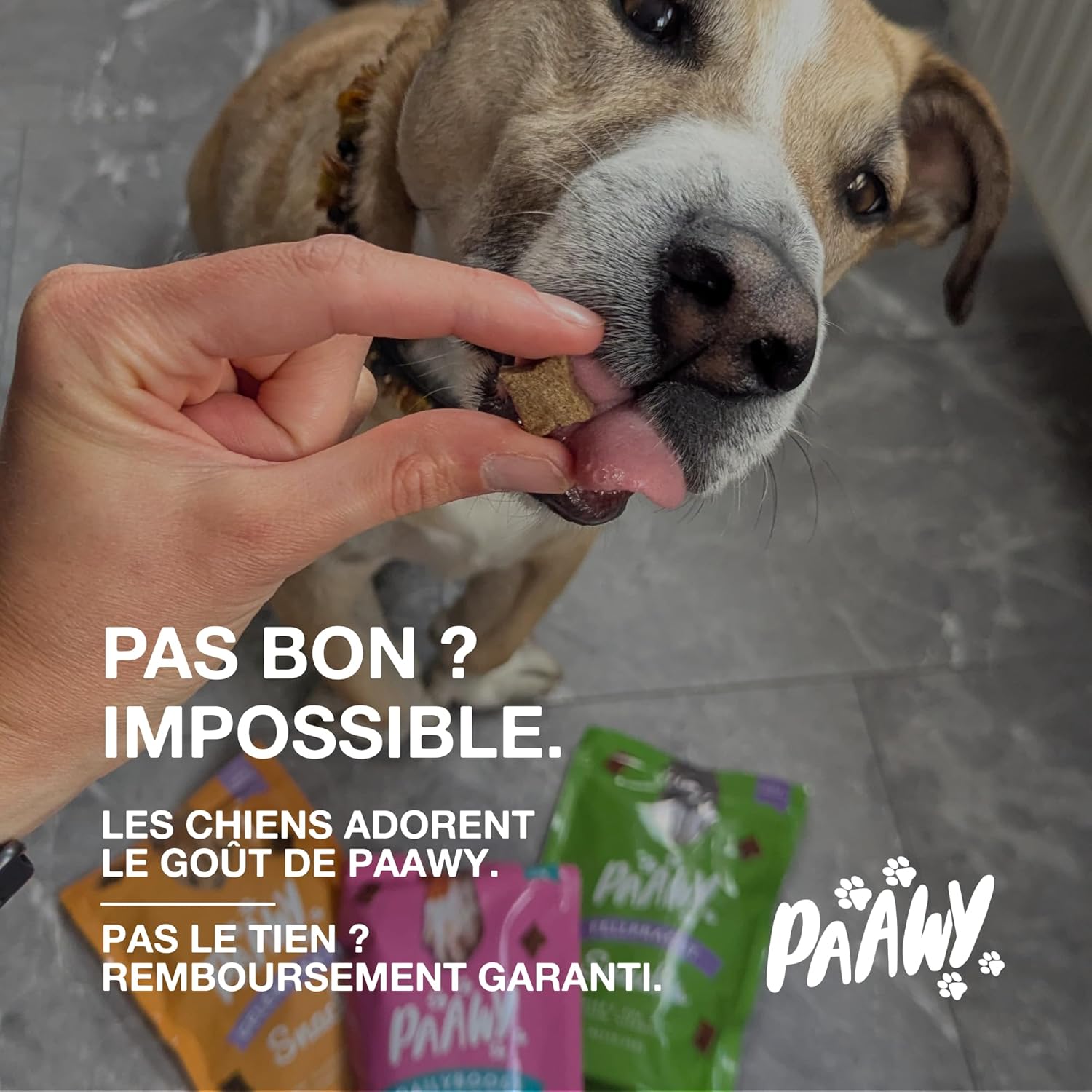 Thumbnail 6 de Paawy Articulation Chien – compléments articulations en snacks (180) pour mobilité et arthrose