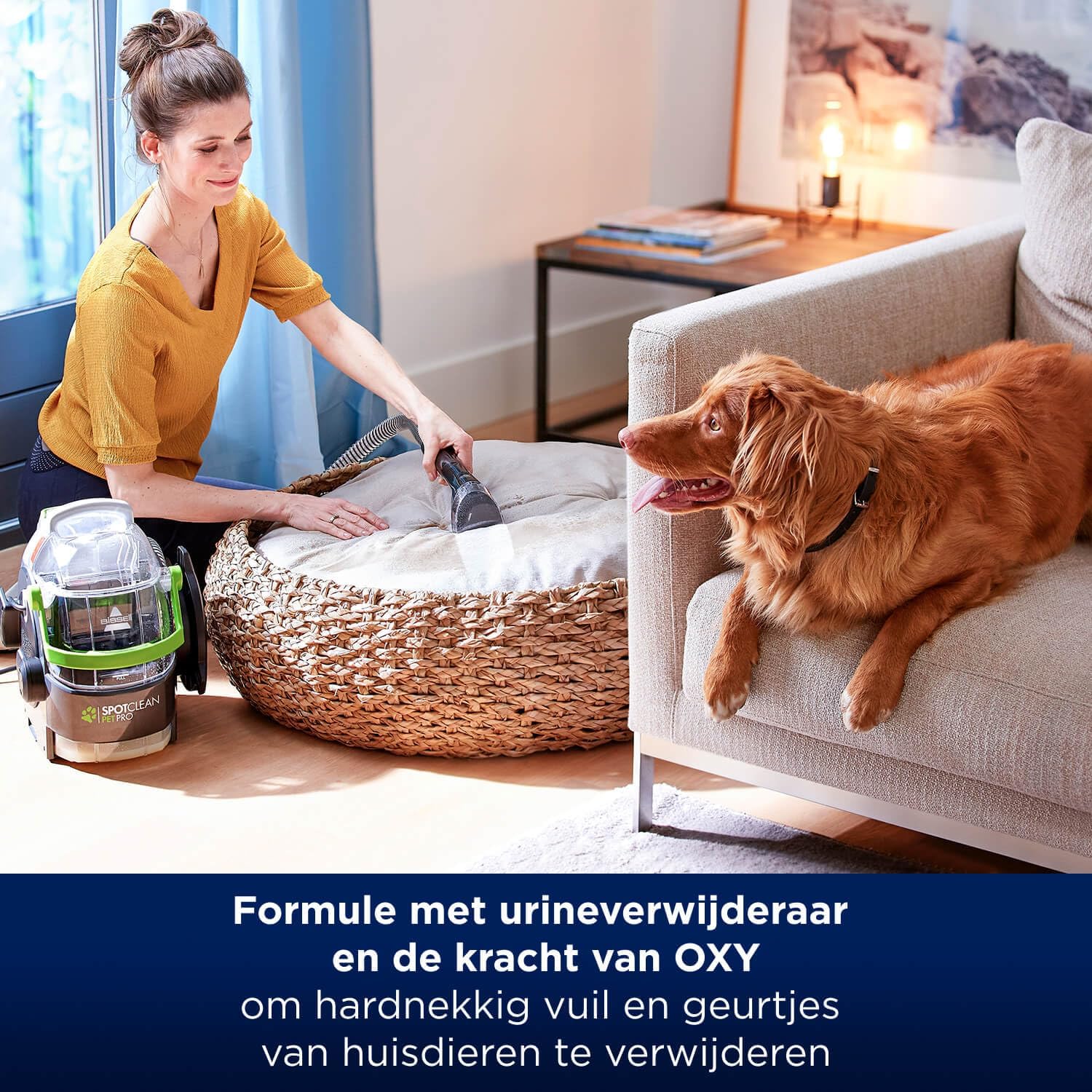 Thumbnail 4 de BISSELL® Spot & Stain Pet Pro Oxy 🐾 | Limpieza profunda para alfombras