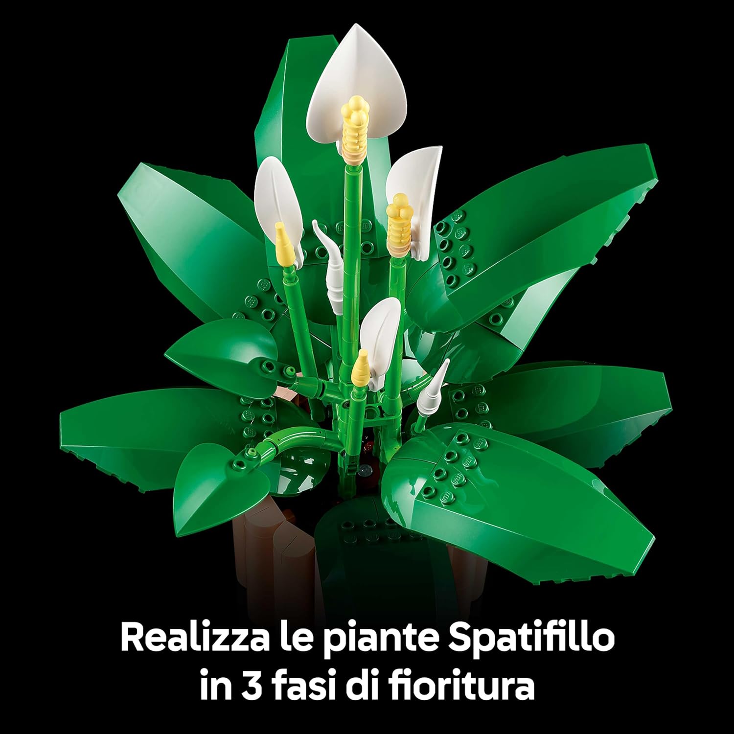 Thumbnail 3 de LEGO Botanicals Spatifillo (11504): decorazione floreale per adulti con vaso intercambiabile