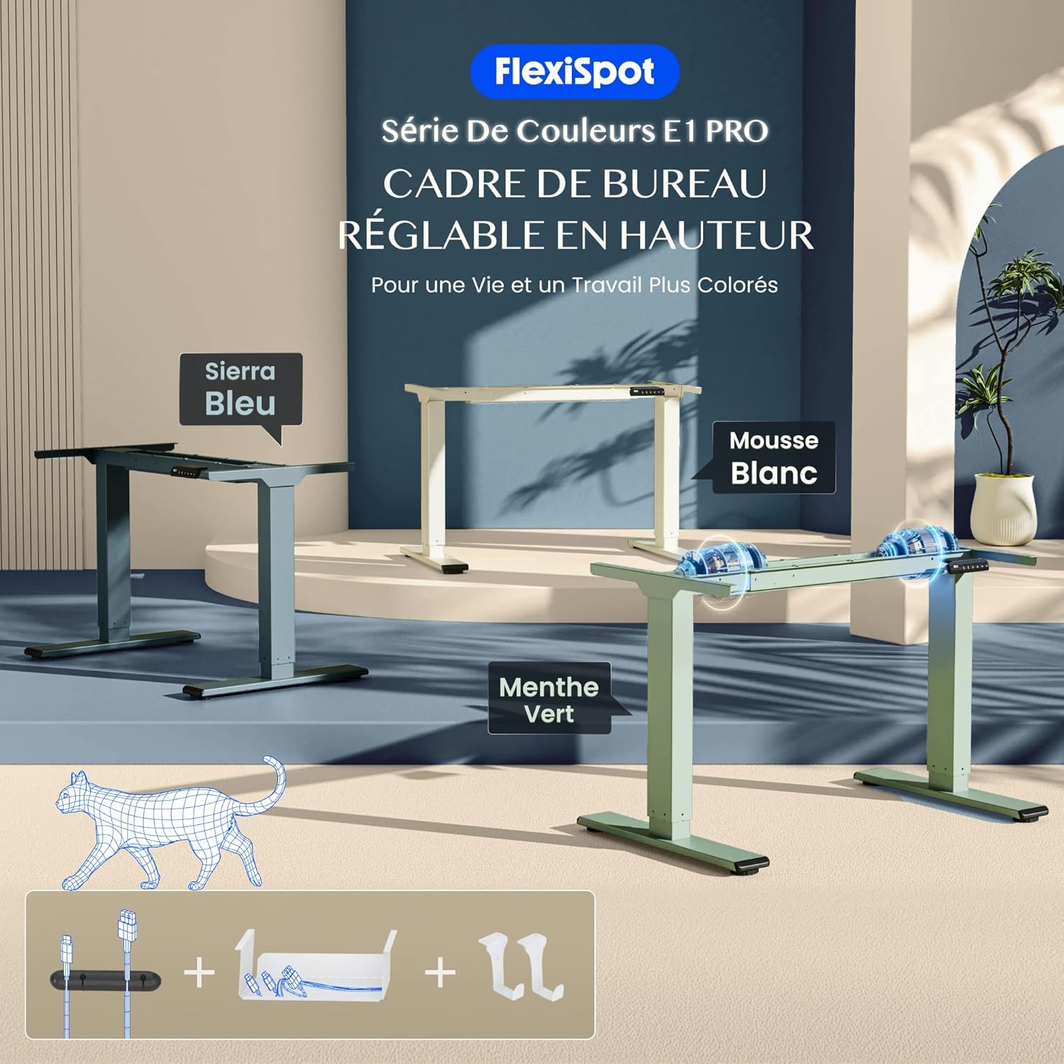 Thumbnail 1 de FLEXISPOT Bureau Assis Debout à 2 Moteurs – Cadre en Acier, Charge 100 kg, Panneau Mémoire, Anti-Collision, Bleu