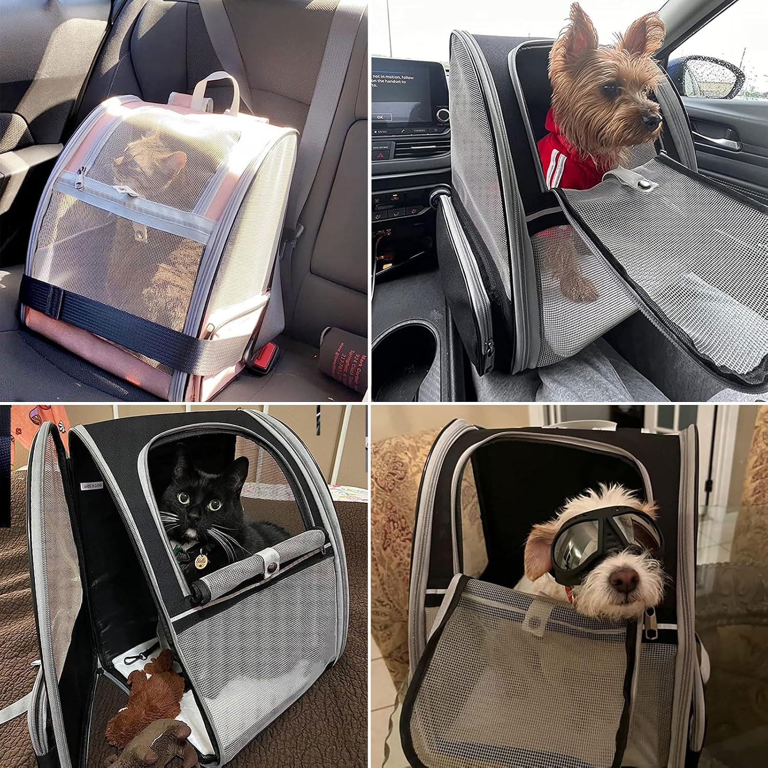 Detalle de Hykiee Hunderucksack Katzenrucksack – Transportbox für Kleine Hunde bis 6 kg oder Katzen bis 8 kg