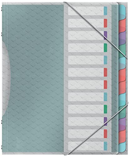 Detalle de Esselte Trieur A4 à 12 Compartiments Colour'Breeze Texturé – Multicolore