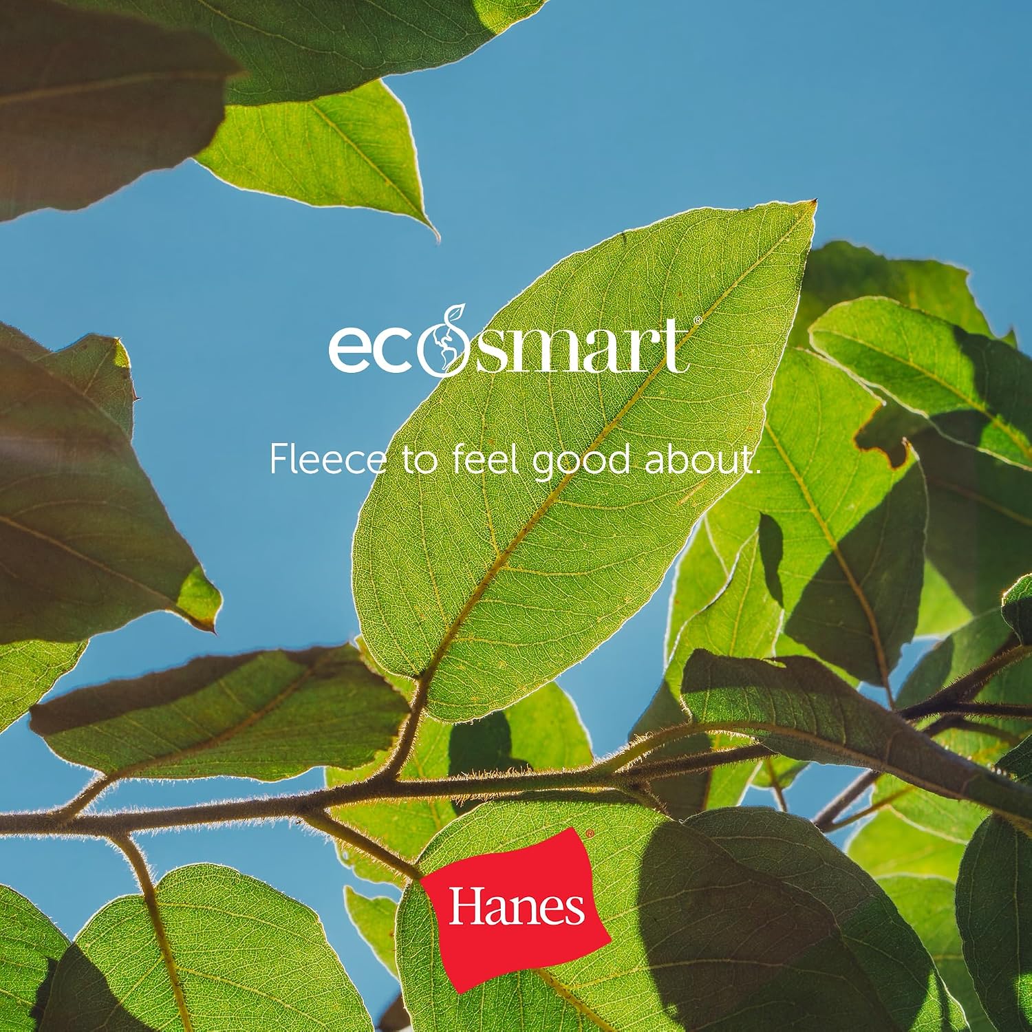 Thumbnail 6 de Hanes O8389 Men's EcoSmart Fleece Joggers, 30.5-Inch, Relaxed Fit