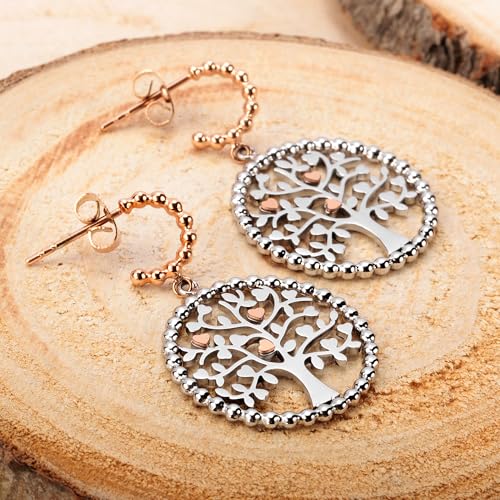 Detalle de Morellato SAQE12 – Orecchini da donna della collezione Talismani in acciaio con accento in oro rosa
