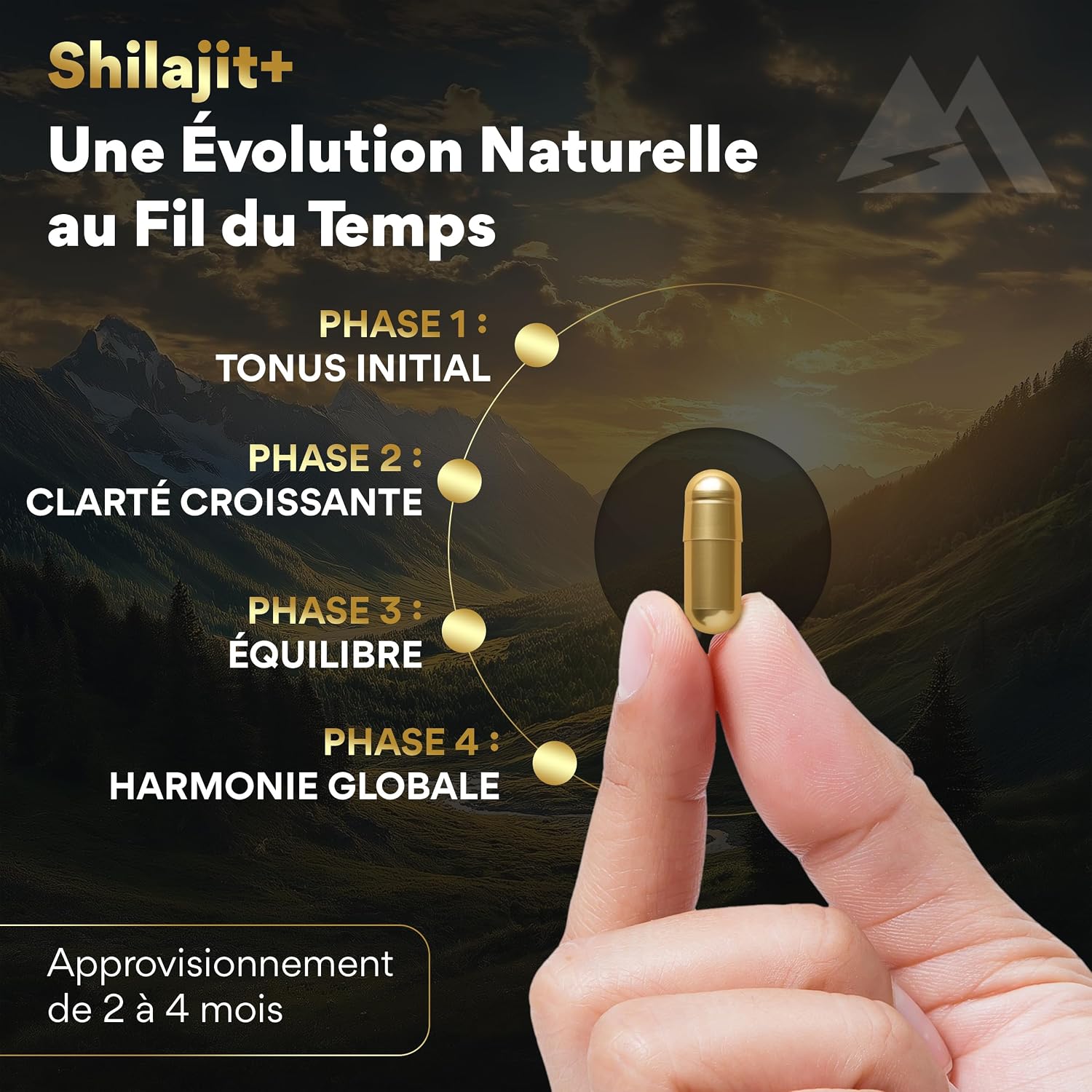 Detalle 2 de Shilajit Pur 2500 mg gĂ©lules đ