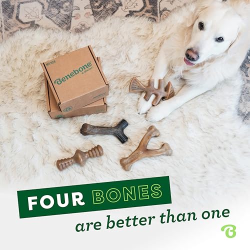 Detalle 2 de Benebone Caja de Regalo Indestructible para perros pequeños