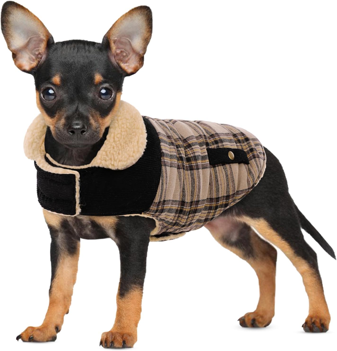 Imagen de PREFERHOUSE 1320-PH-Dog Winter Coat-Beige-S Dog Jacket, Beige Small en OfertitasTOP