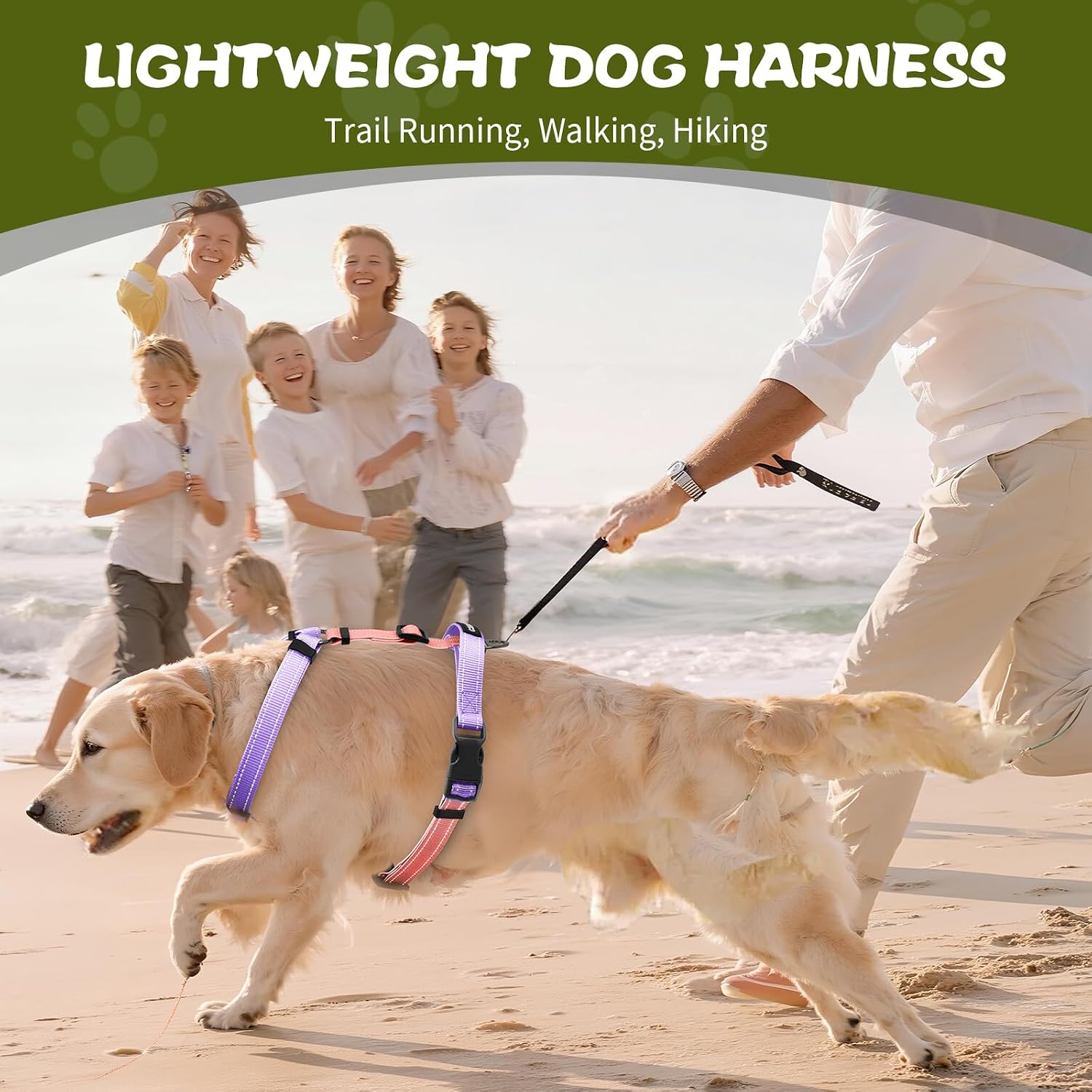 Thumbnail 5 de Dog Harness Pink-L