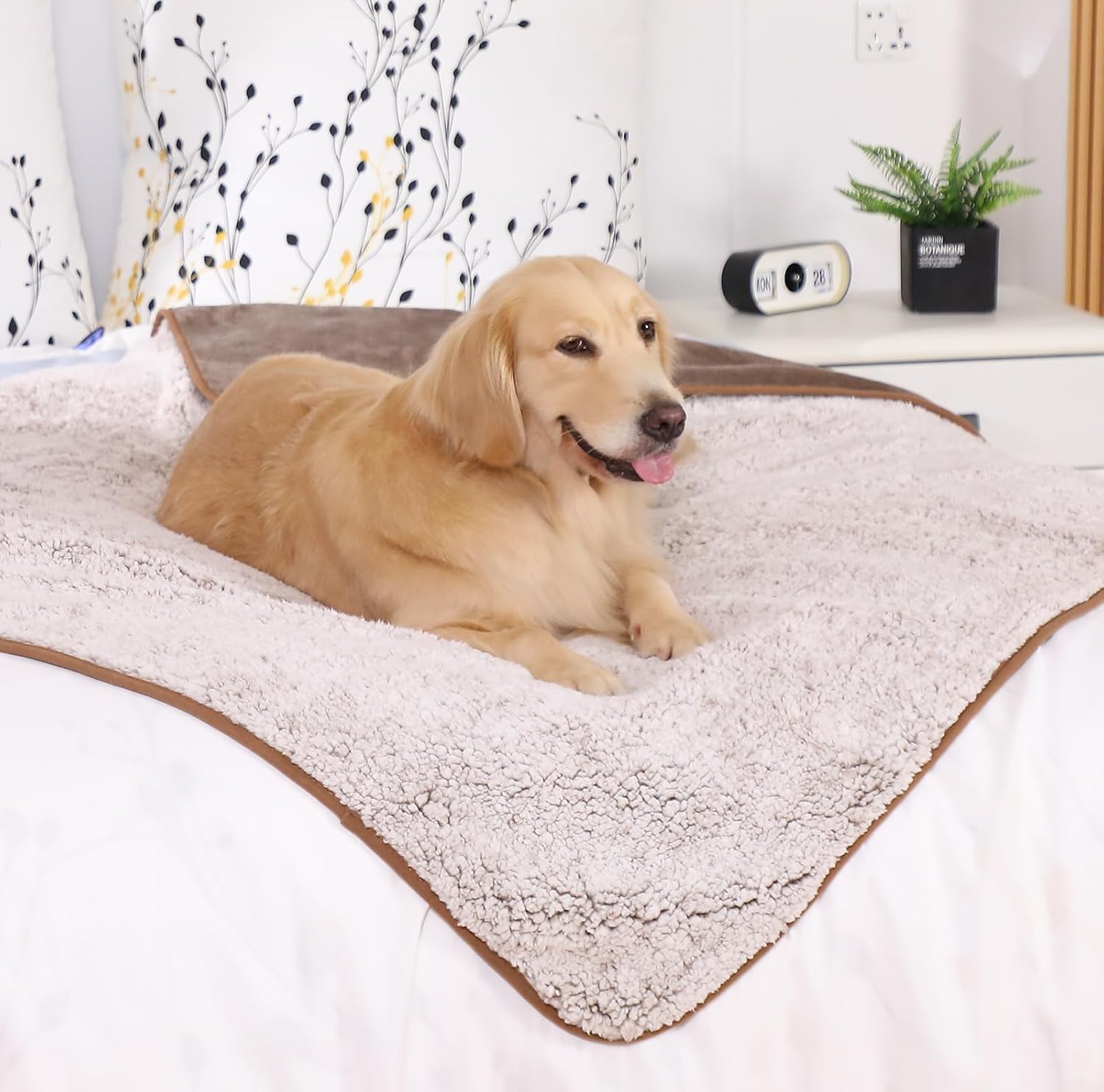 Detalle 2 de PETTOM Waterproof Dog Blanket 127x100 cm
