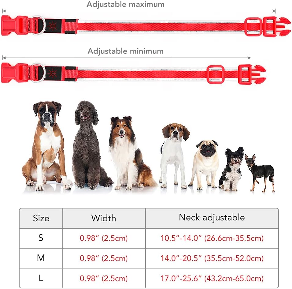 Thumbnail 4 de YFbrite Light up Dog Collar 8h battery