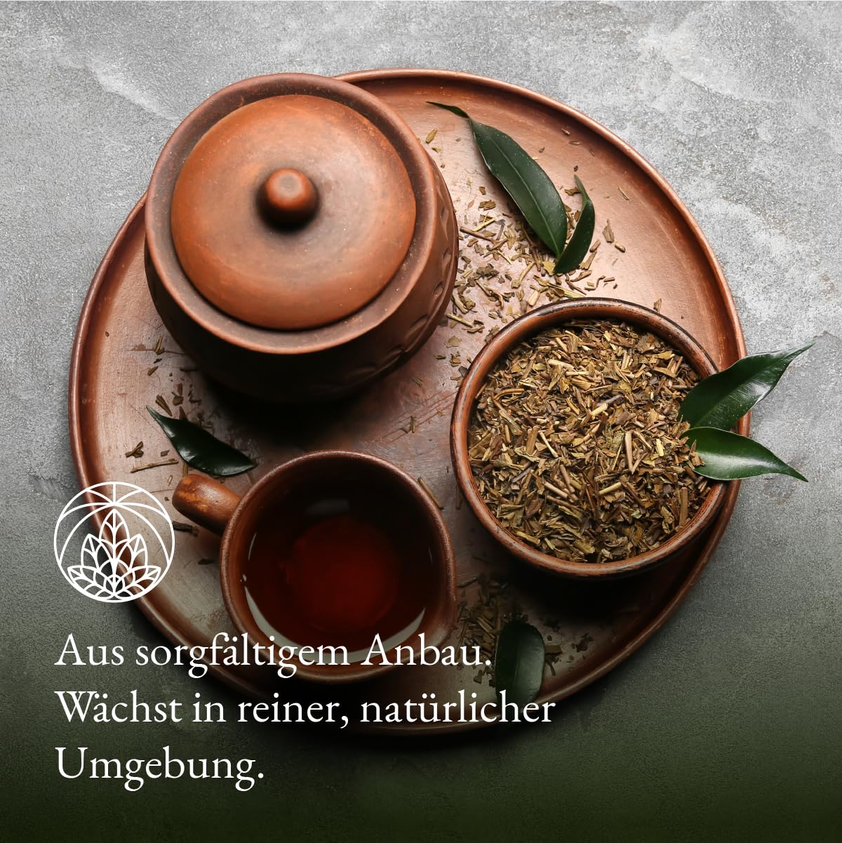 Detalle de Sencha Grüner Tee lose Monte Nativo (200 g) – aromatischer Grüntee ohne Zusatzstoffe