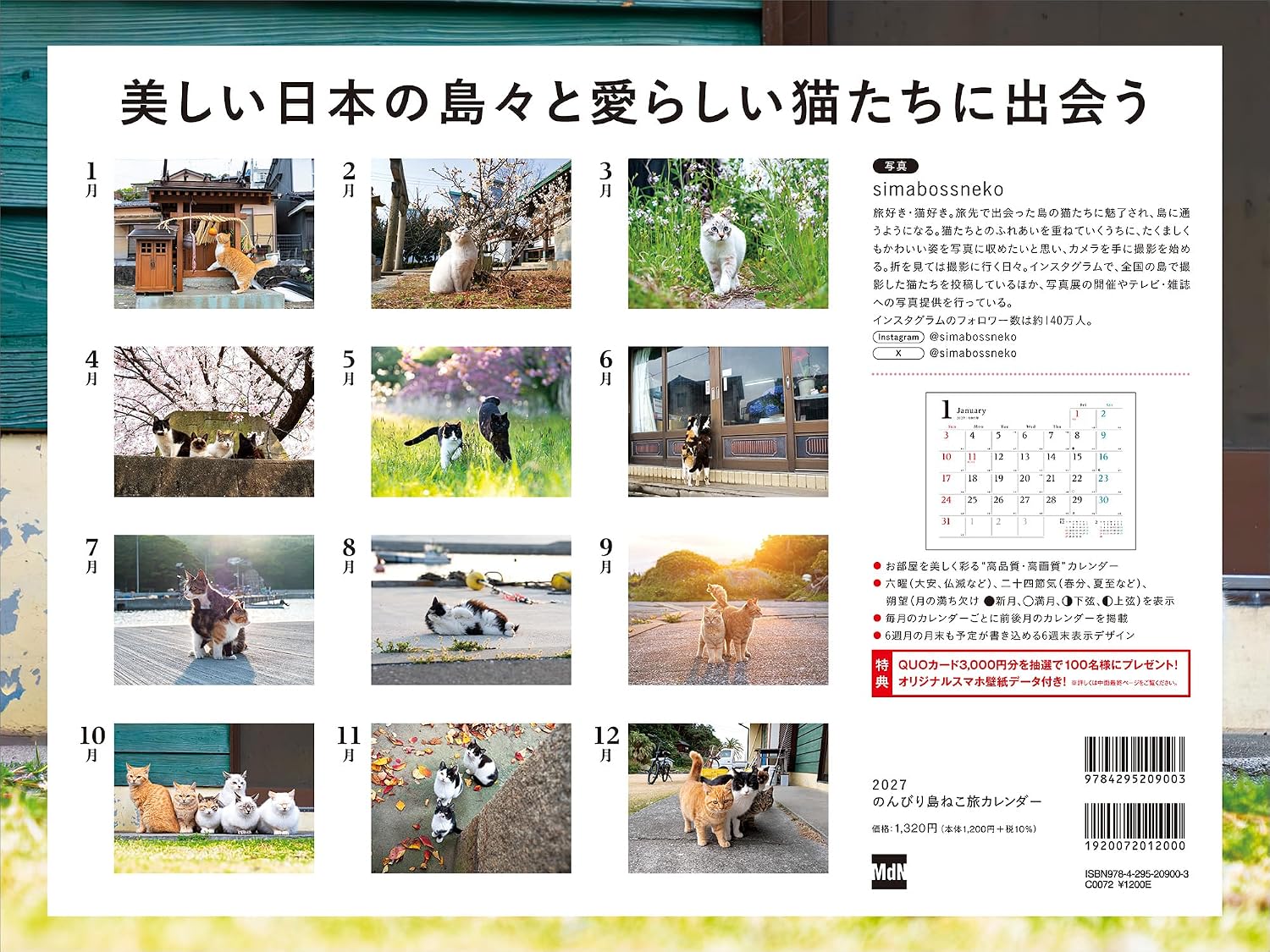 Thumbnail 2 de MdNカレンダー2027 のんびり島ねこ旅カレンダー 壁掛け・月めくり・大判