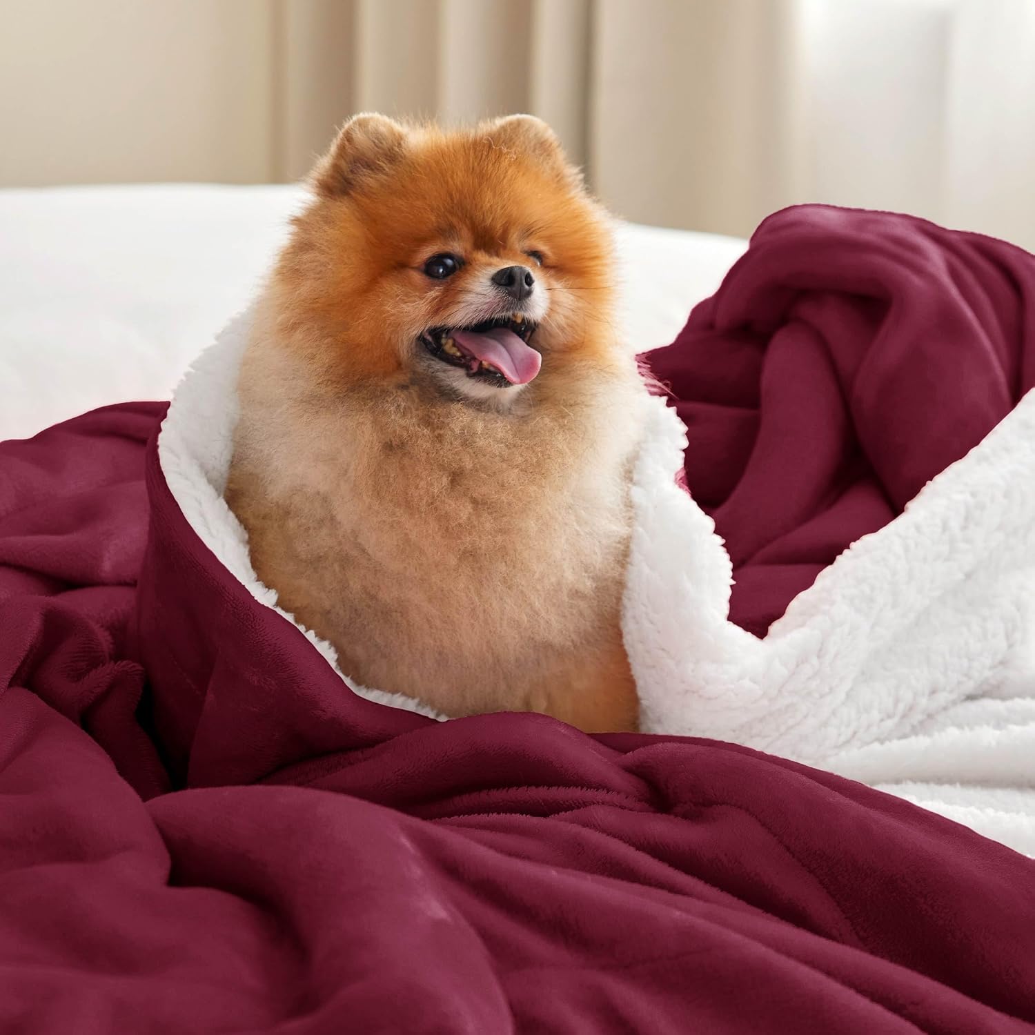 Detalle de Bedsure GentleSoft Sherpa Fleece Blanket, King Size, Reversible Burgundy