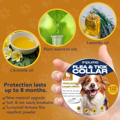 Thumbnail 2 de Inpumo Collar antiparasitario para perros: protección antipulgas y garrapatas hasta 10 meses, impermeable y ajustable