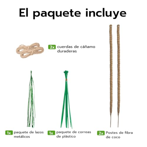 Thumbnail 8 de Wigearss: 2 tutores de fibra de coco de 60 cm para plantas trepadoras, con montaje y anclaje incluido