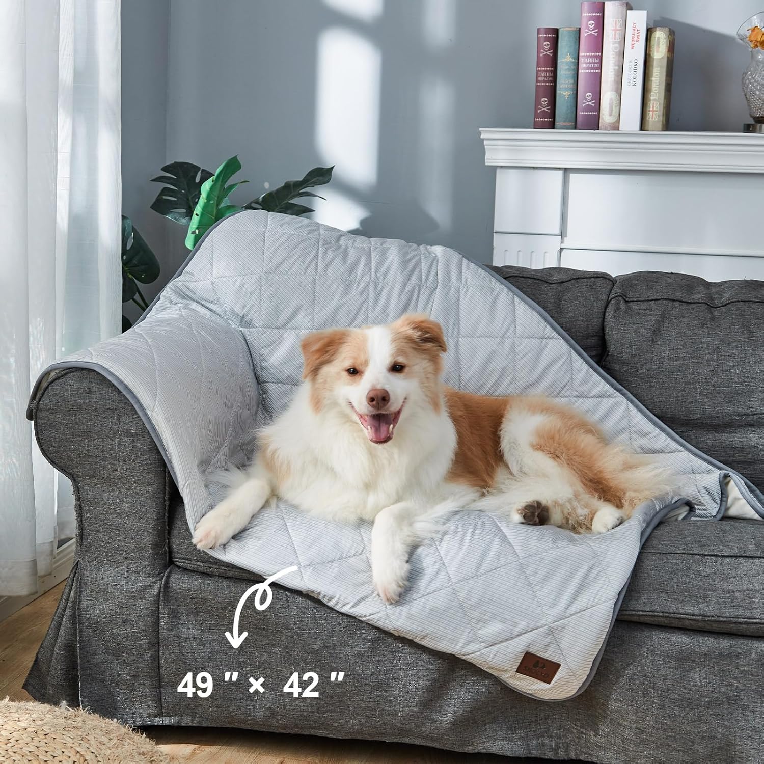 Detalle de Snocyo Kühldecke für Hunde – Waschbar, wasserdichte Decke 60×47 cm, doppelseitig kühlend & plüschig