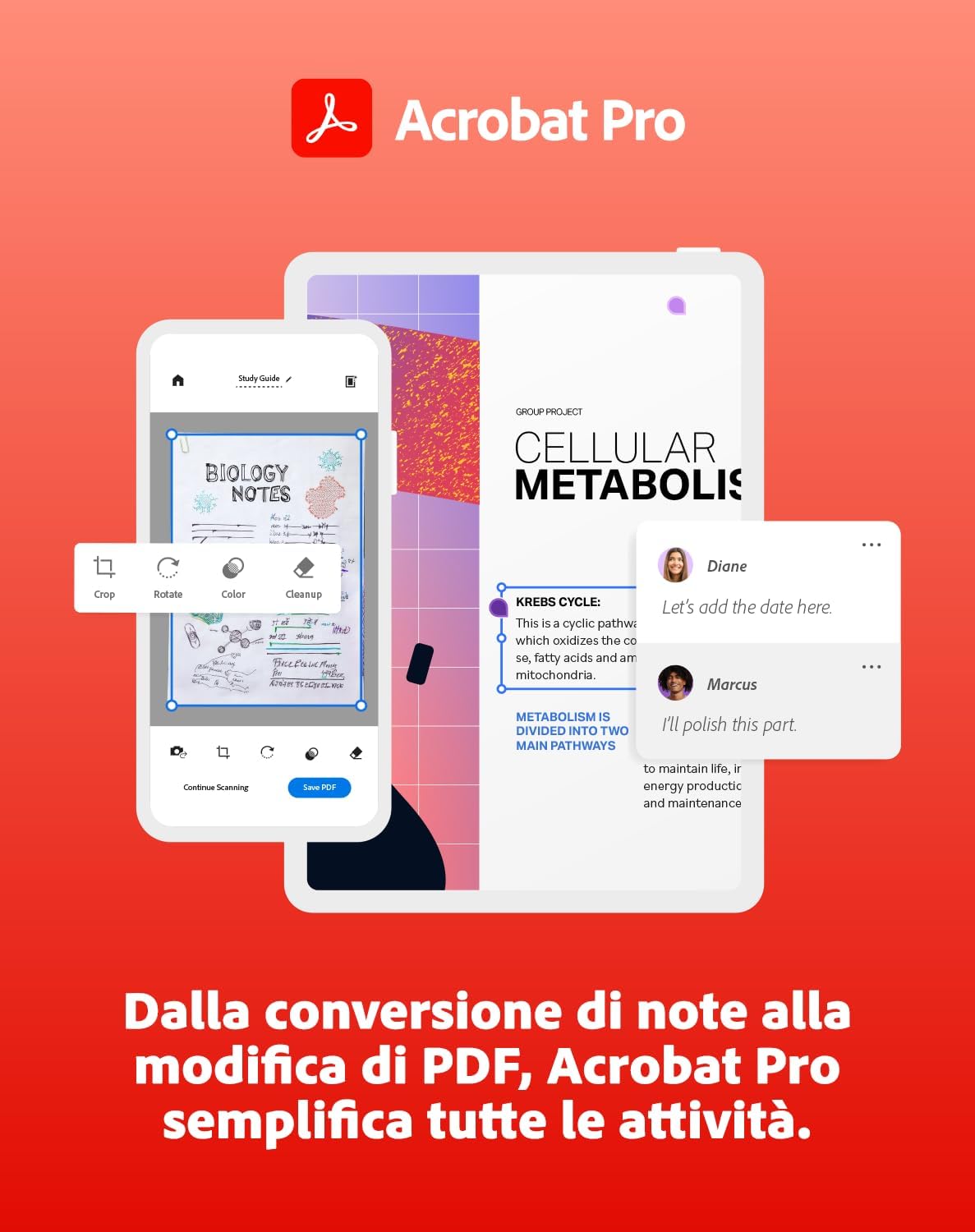 Detalle de Adobe Creative Cloud All Apps Student & McAfee Total Protection 2025 | 6 Dispositivi | 12 Mesi | Download Digitale