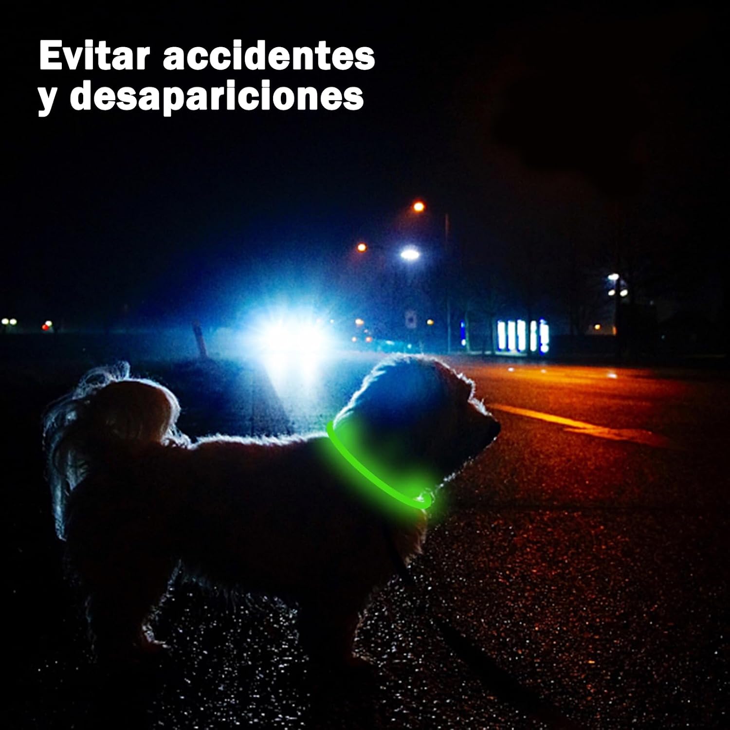 Thumbnail 5 de Nephafy Collar Luminoso Perro Recargable 3 Modos 🐾
