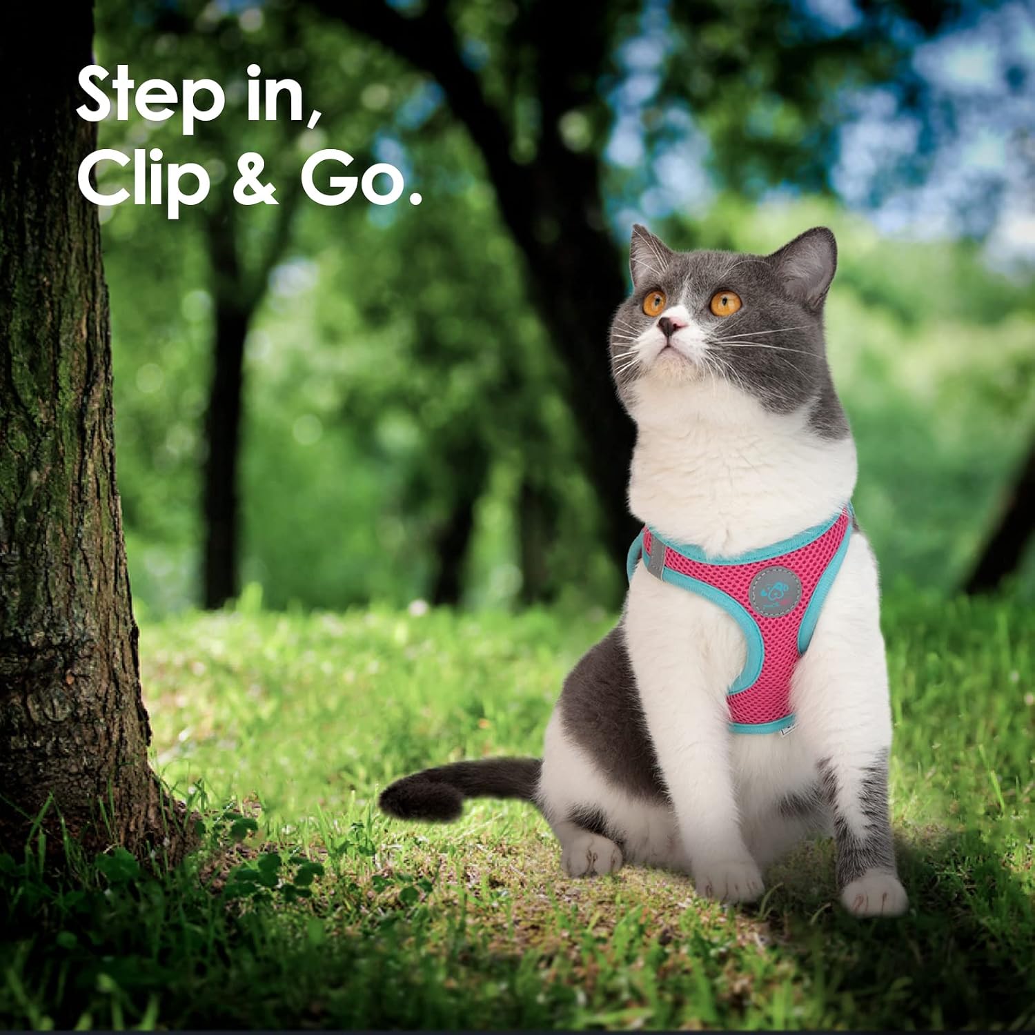 Thumbnail 3 de PHOEPET Step-In Dog Harness, Size S