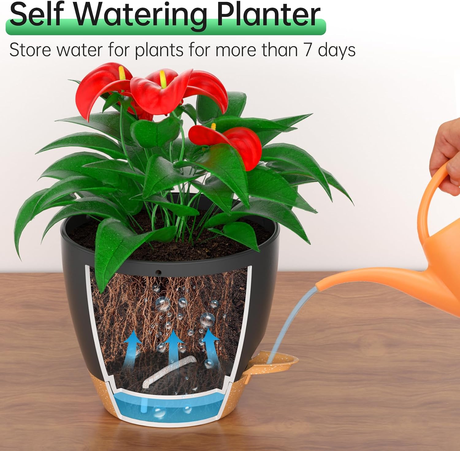 Detalle 2 de ZMTECH 8-Inch Hanging Planters, 2-Pack, Self-Watering with Drainage Holes, Black
