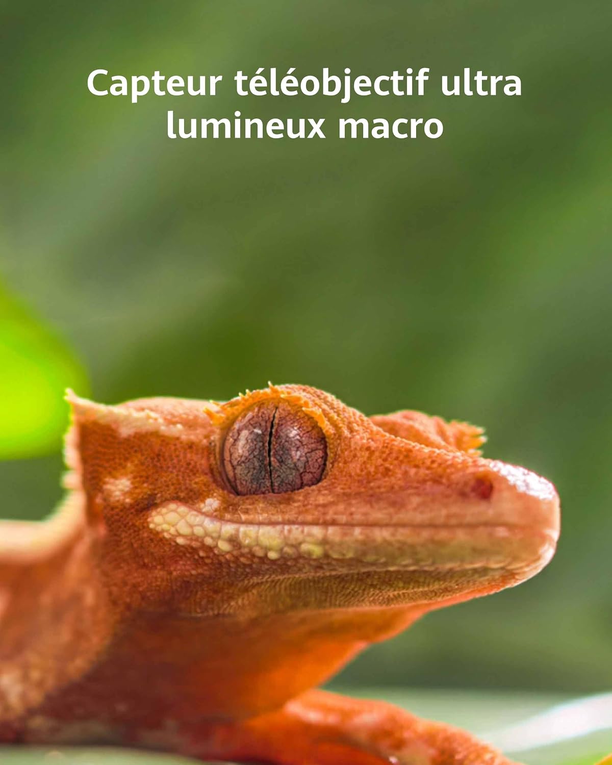 Thumbnail 3 de Huawei Pura 80 Pro téléphone Intelligent