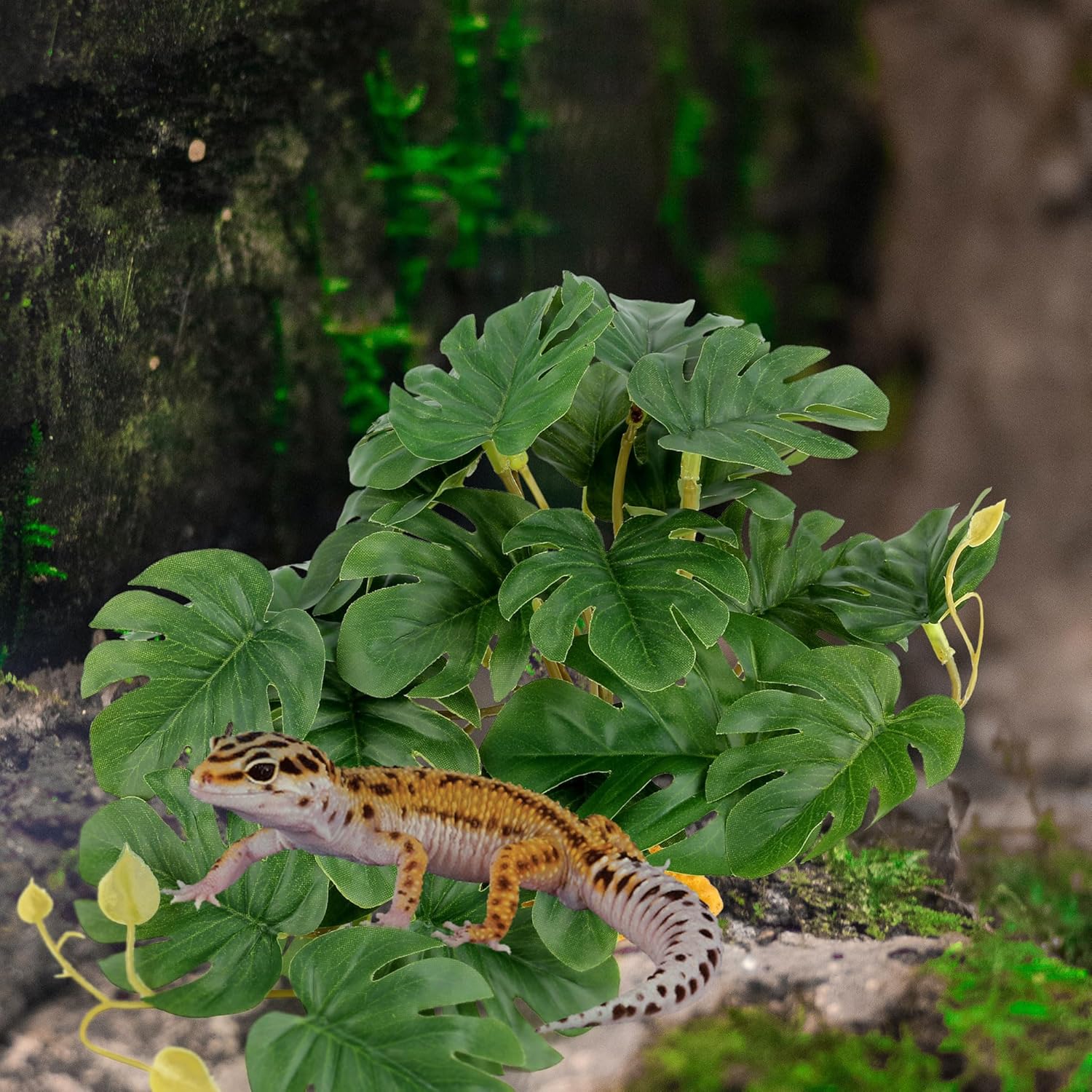 Detalle 2 de Filhome Reptile Plants for Terrarium: Realistic Artificial Plant with Weighted Base